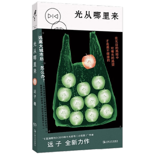 光从哪里来 远子 著 小说