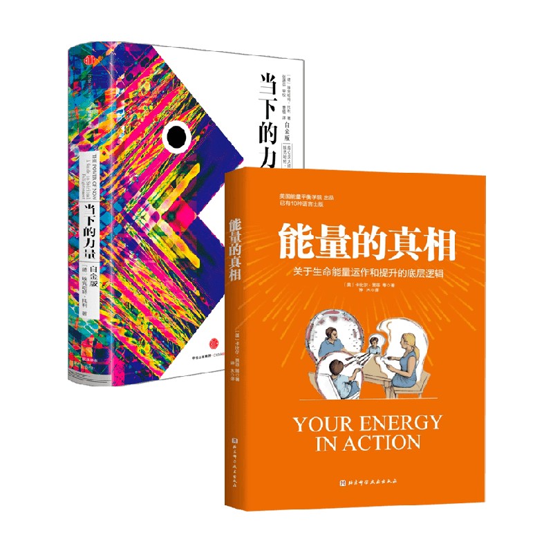 能量的真相+当下的力量 卡比尔·贾菲 著 心理学