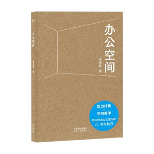办公空间 李安民 著 中国文学