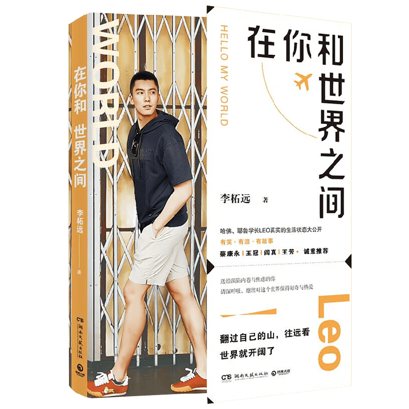 在你和世界之间 李柘远 著 励志
