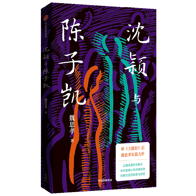 沈颖与陈子凯 魏思孝 著 小说