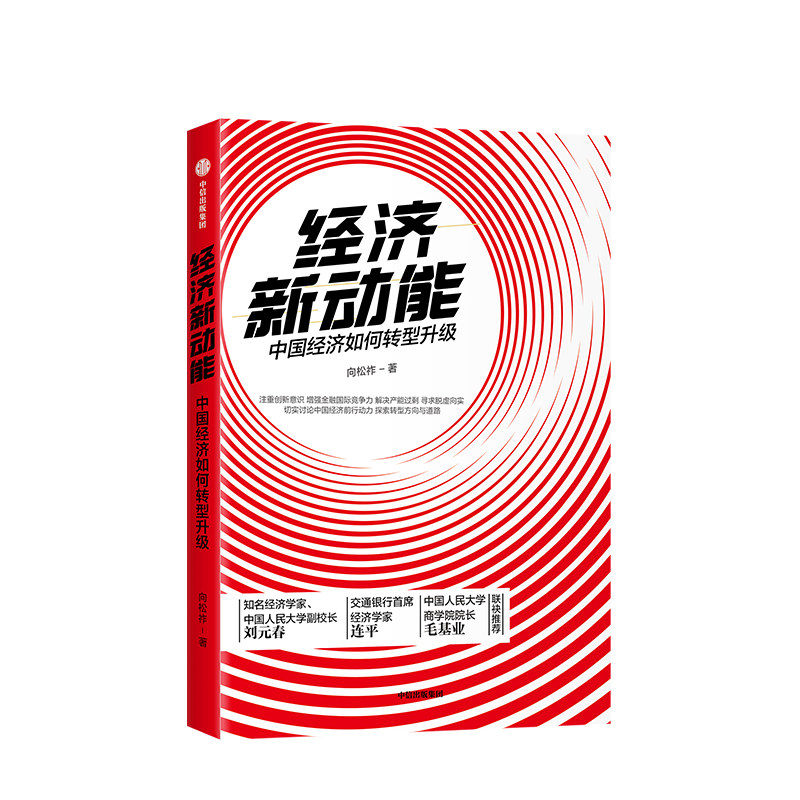 经济新动能 向松祚 著 中 国经济走向 产业进程 转型升级 新基建 经济发展 社图书 中信