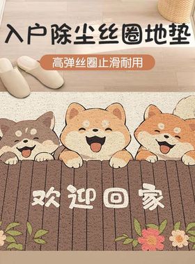 卡通入户门丝圈地垫门口耐磨脚垫进门家用蹭土地毯玄关门垫可裁剪