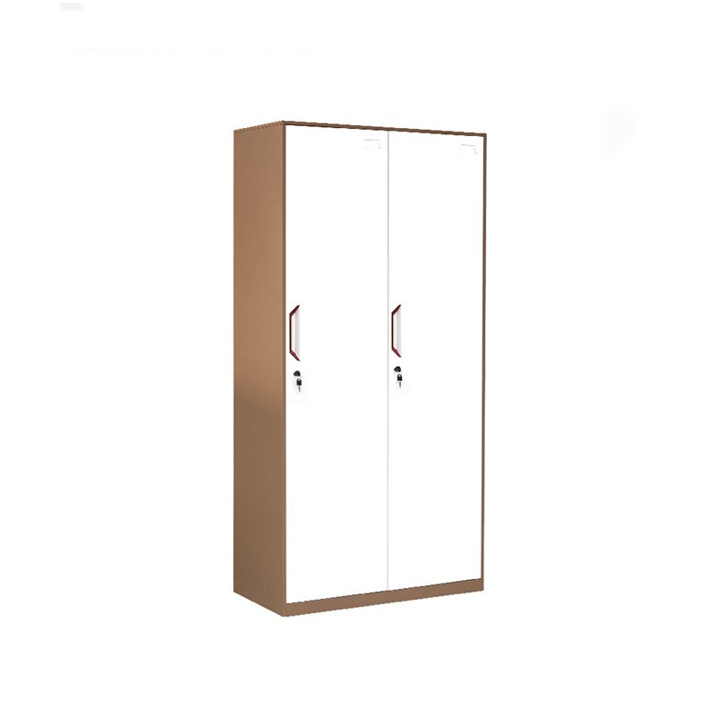 直营彩色二门员工铁皮更衣柜学生宿舍浴室储物拆装钢制柜子