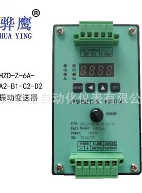 TM101-A06-B00-C00-D00-E00-G00振动变送器 配TM0782A-M 传感器