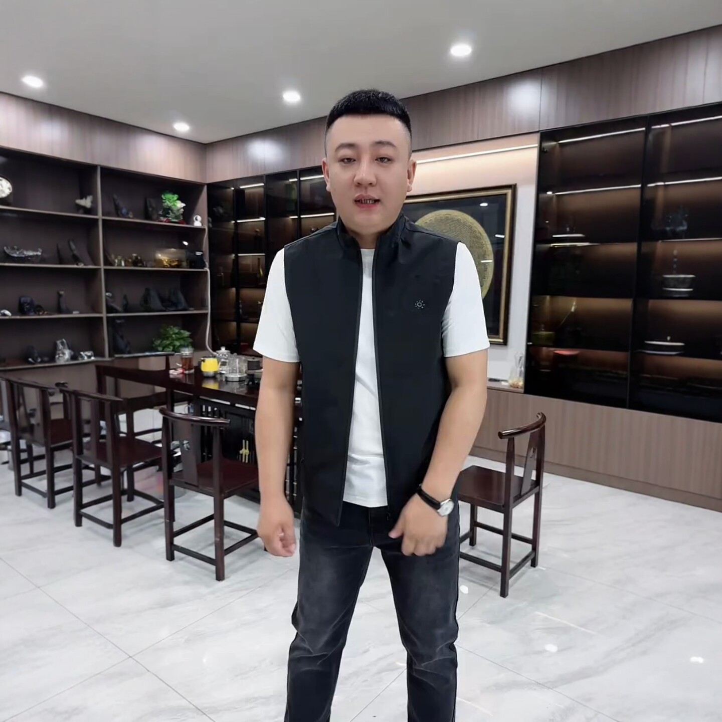 男士商务休闲立领马甲外套图片