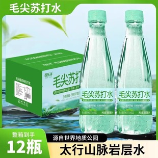 乐百洋信阳毛尖苏打水茶味苏打瓶装弱碱清爽好喝解腻夏季饮品整箱