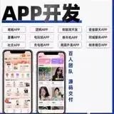 APP定制软件源码交付APP部署搭建APP上架公司微信小程序软件开发