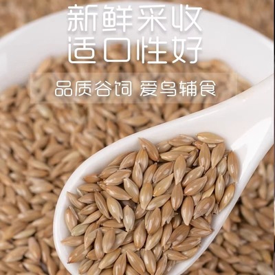 加纳利子玄风虎皮牡丹专用粮食