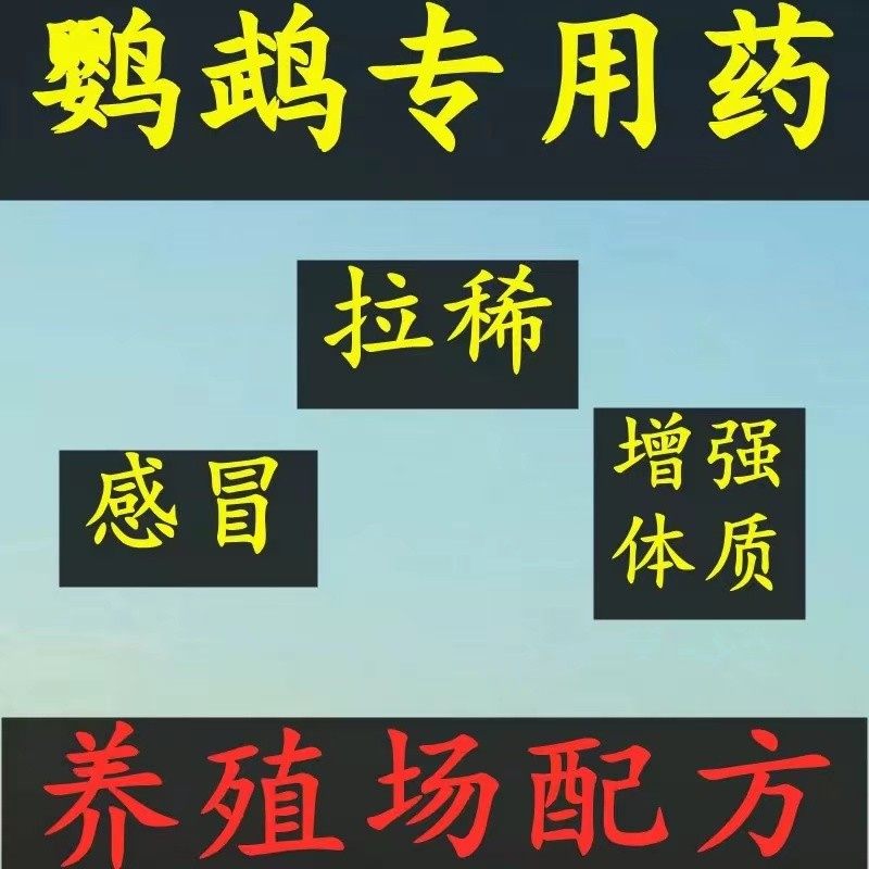 鹦鹉感冒拉稀增强体质专用药