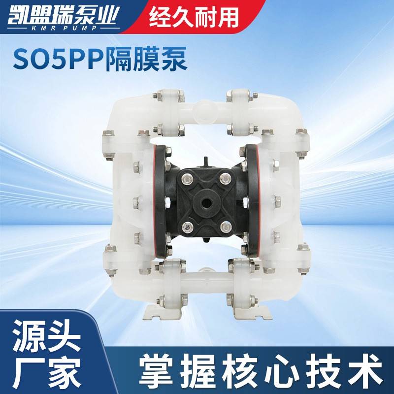 S05PP塑料隔膜泵厂家供应S05B3P2PPD100隔膜泵往复泵塑料自动隔膜