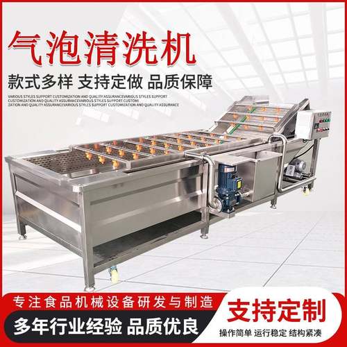 多功能气泡清洗机板栗蓝莓洗果机大枣枸杞高压喷淋清洗线