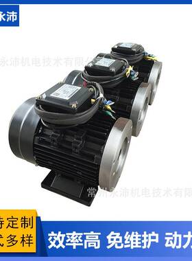 YP90PCYP80PCYP90YP100YP112YP直流无刷电机永磁免维护