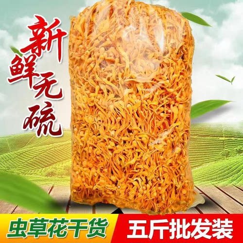 虫草花干货正品2026新货无硫农家特产食用菌菇类煲汤金北虫草商用
