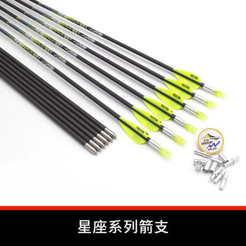 ARCSTG水天谷星座射准碳箭纯碳箭支碳素箭进口反曲弓复合弓箭千一