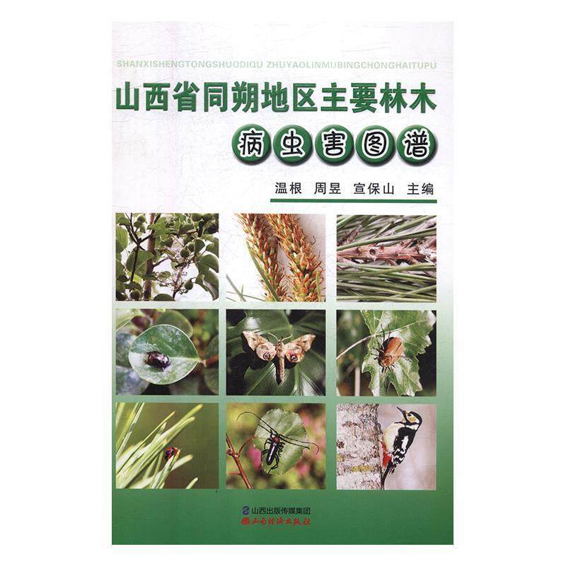 山西省同朔地区主要林木病虫害图谱 9787557703288 山西经济出版社 温根,周昱,宣保山