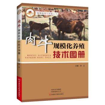 肉牛规模化养殖技术图册 9787572504082 河南科学技术出版社 郑立 著