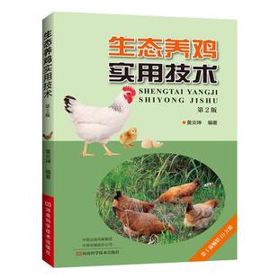 社 河南科学技术出版 黄炎坤 9787572500626 生态养鸡实用技术