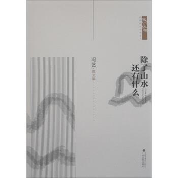 除了山水 还有什么 9787536373143 广西民族出版社