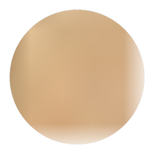 百鸟朝凤图国画唐寅唐伯虎新中式花鸟装饰画玄关进门轻奢挂画网红