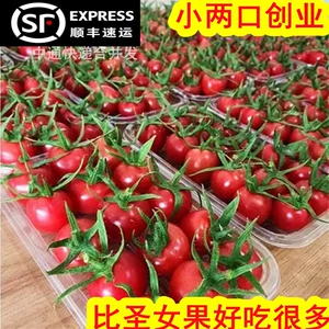 Shandong Millennium Fruit 5 фунтов маленьких помидоров, очень сладкие помидоры черри, свежие фрукты, овощи Цяньси, фермерские деликатесы.