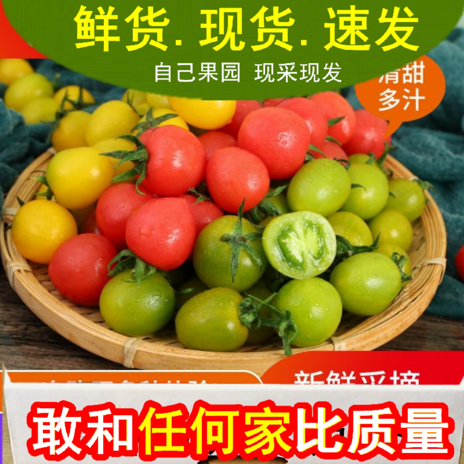 千禧小番茄迷彩色青口蜜绿色