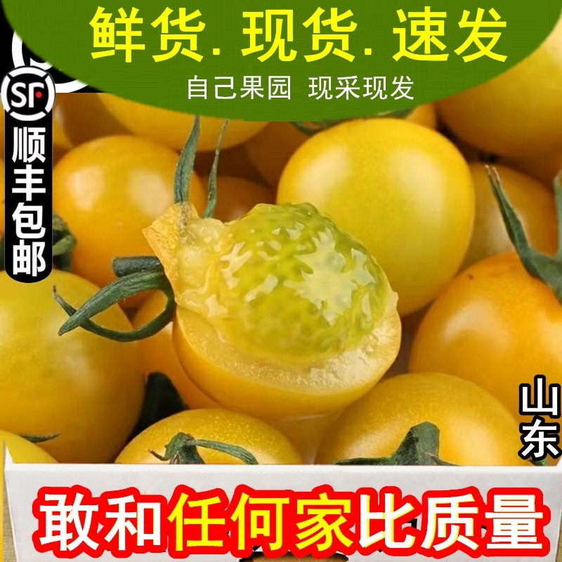千禧小番茄夏日阳光黄色山东樱桃小番茄新鲜水果酸甜小西红柿包邮,水产肉类/新鲜蔬果/熟食,番茄,淘宝优惠券,粉丝福利购,淘宝优惠卷