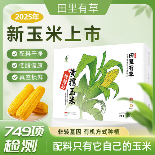 田里有草非转基因甜糯玉米