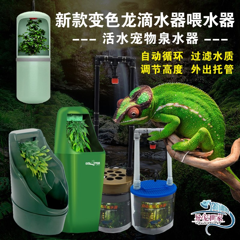 树栖爬虫变色龙饲养箱宠物v循环流水喂水滴水器饮水喂食器喝水加
