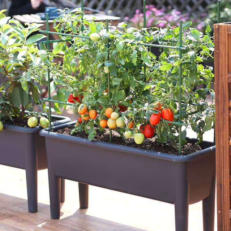 阳台种菜专用花盆种植箱家用蔬菜香菜葱种长方形楼顶家庭种植神器