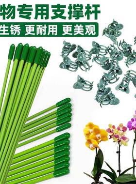 植物固定绿色支撑杆兰花插花蝴蝶兰金钱树绿植花卉盆栽防倒伏扶杆