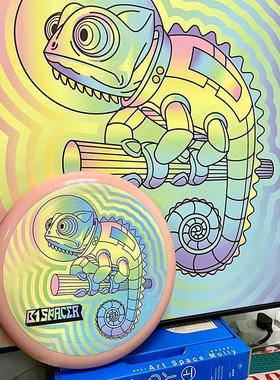 P2R×ARCTONG 户外极限运动回旋专业竞技175g成人青少年盘私人定