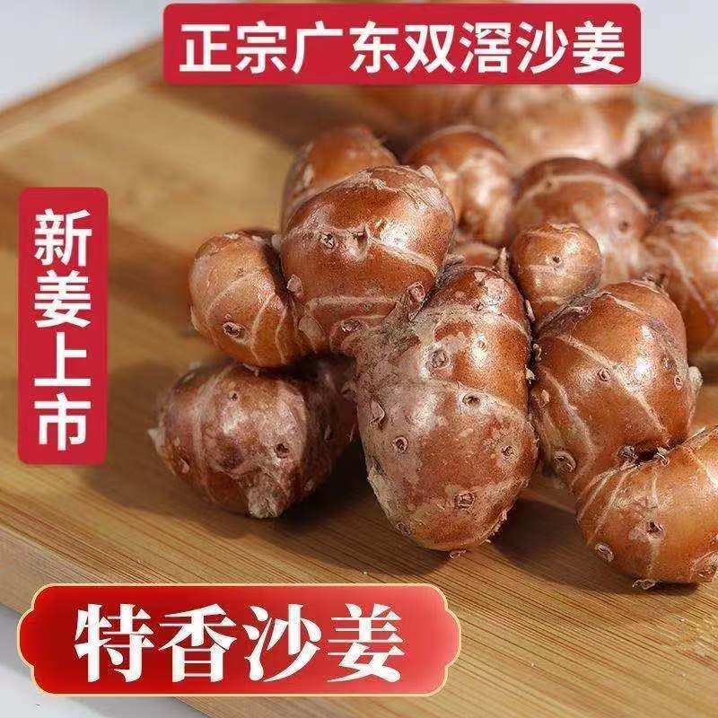 新鲜沙姜广东特产茂名浓香山奈三赖白切鸡椰子鸡猪脚卤肉蘸料配料