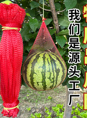 特厚大棚吊西瓜网兜吊哈密瓜网袋装红薯的网眼袋红色塑料网兜批发