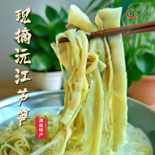湖南特产洞庭湖沅江芦笋新鲜芦苇笋真空包装现挖现摘柴笋产地直销