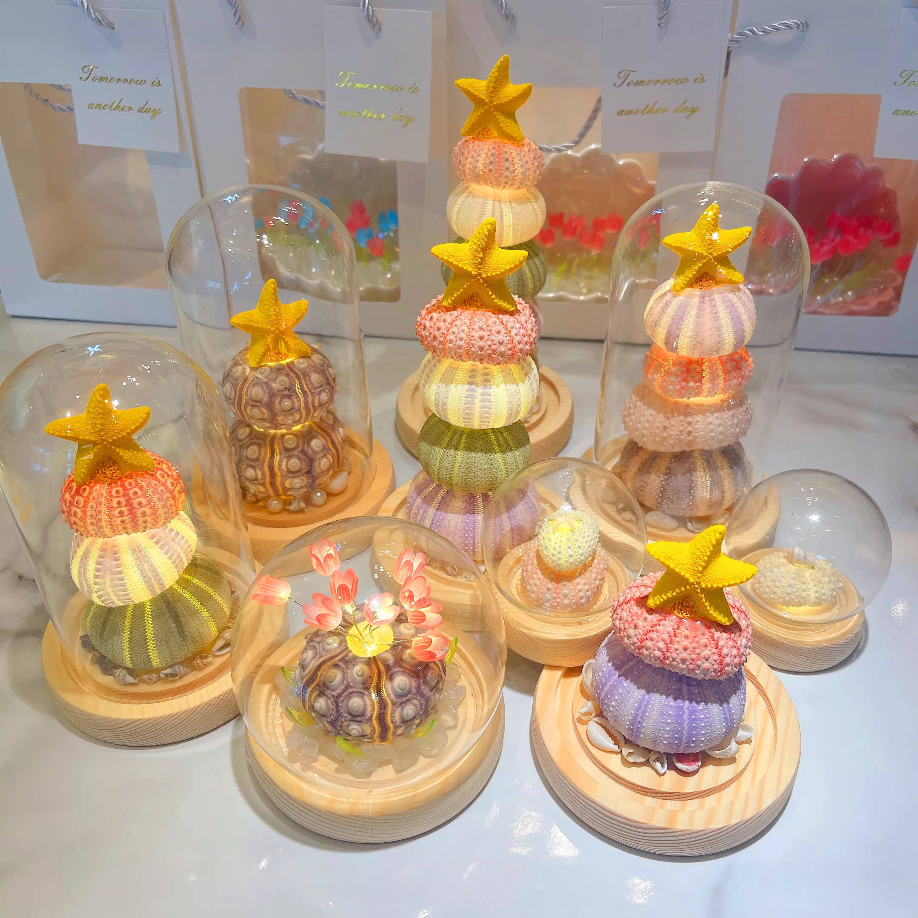 海胆贝壳小夜灯diy节日纪念礼品