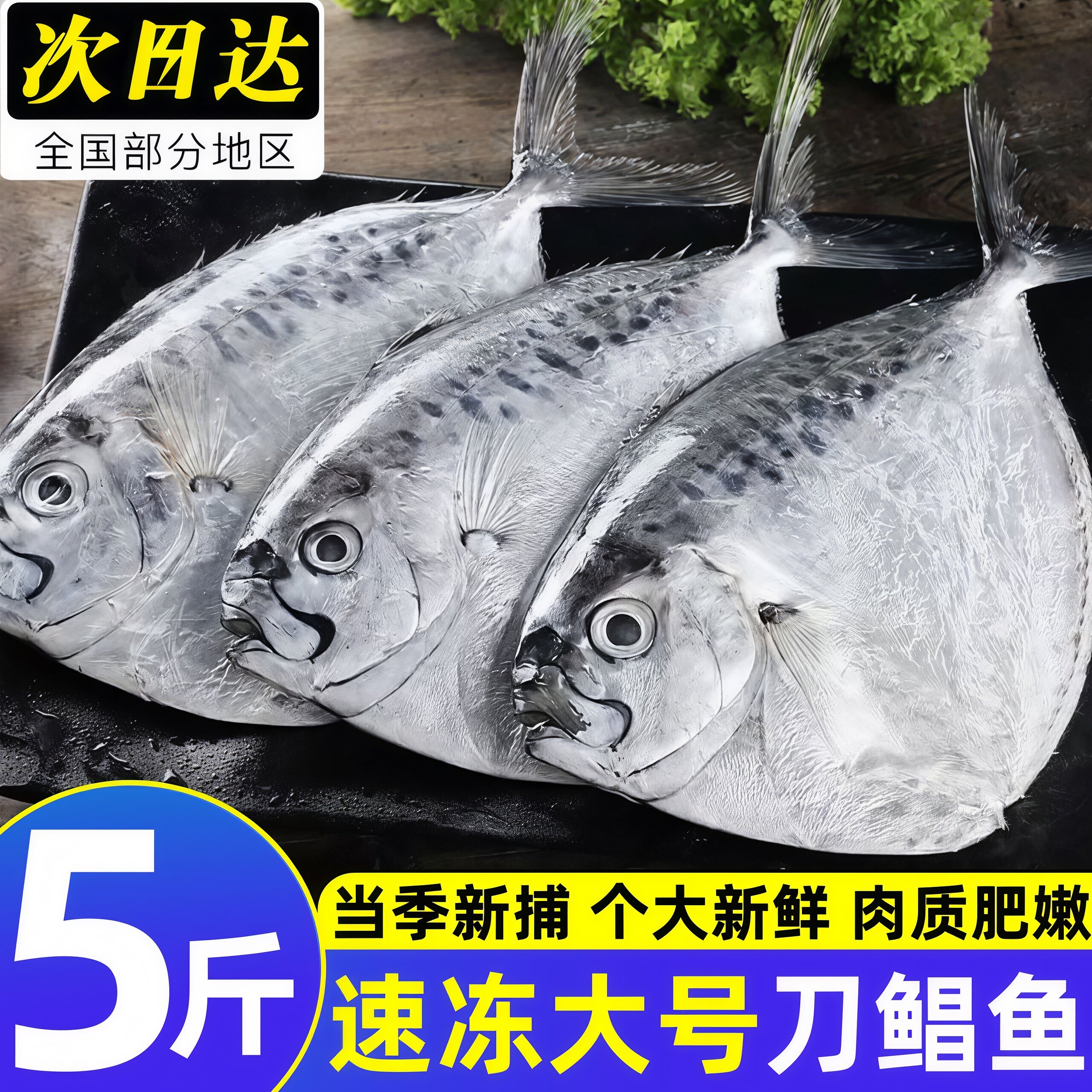刀鲳鱼新鲜冷冻野生海捕鲳鱼无冰净重海鲜鲳鱼平鱼昌鱼海鲜水产
