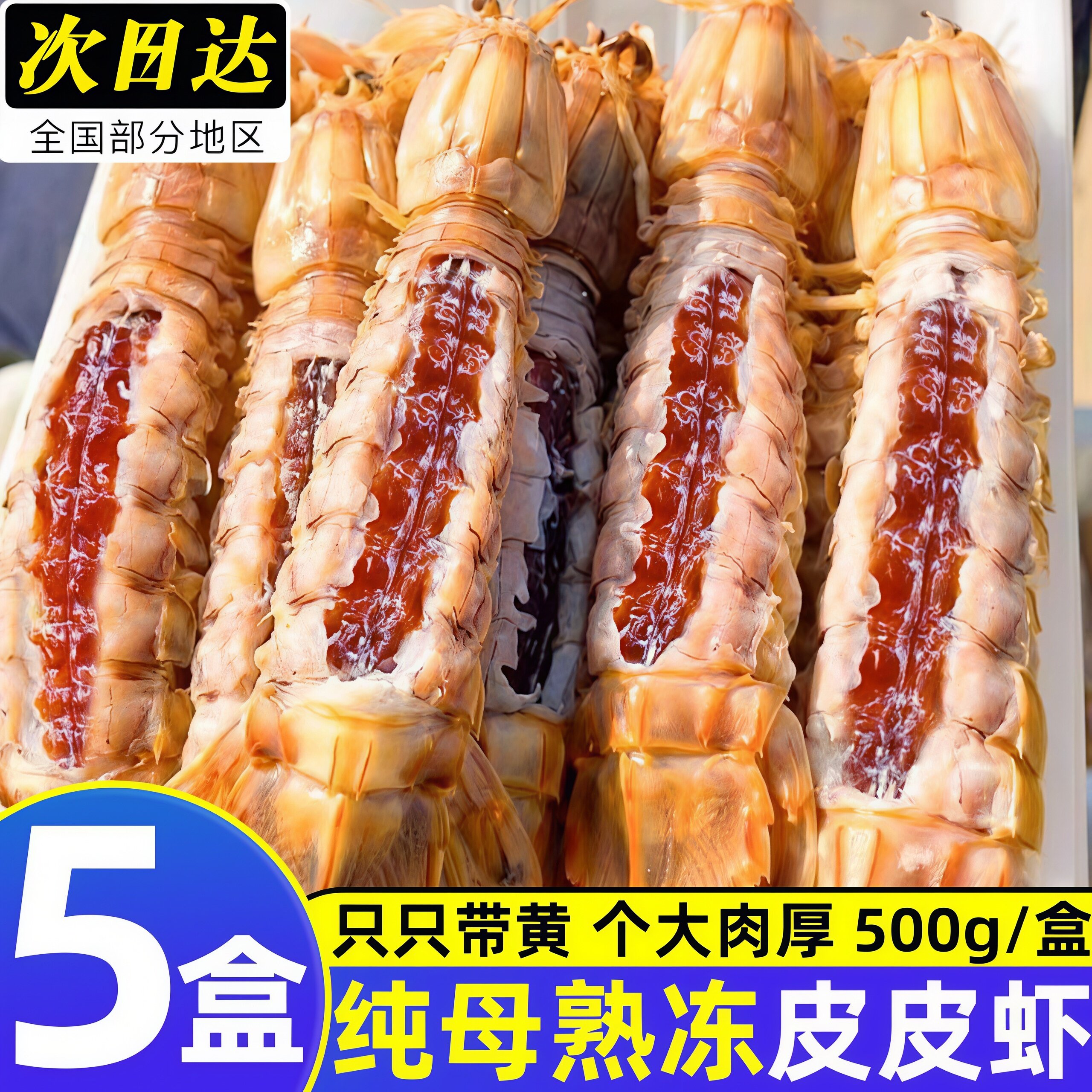 全母皮皮虾鲜活冷冻特大带膏带黄虾爬子海鲜水产新鲜批发商用