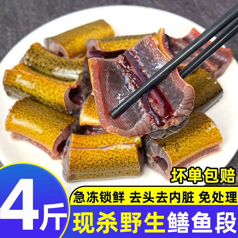 黄鳝段鳝鱼新鲜鳝鱼段鲜活黄鳝鱼段纯野土黄鳝大个去头去尾去内脏