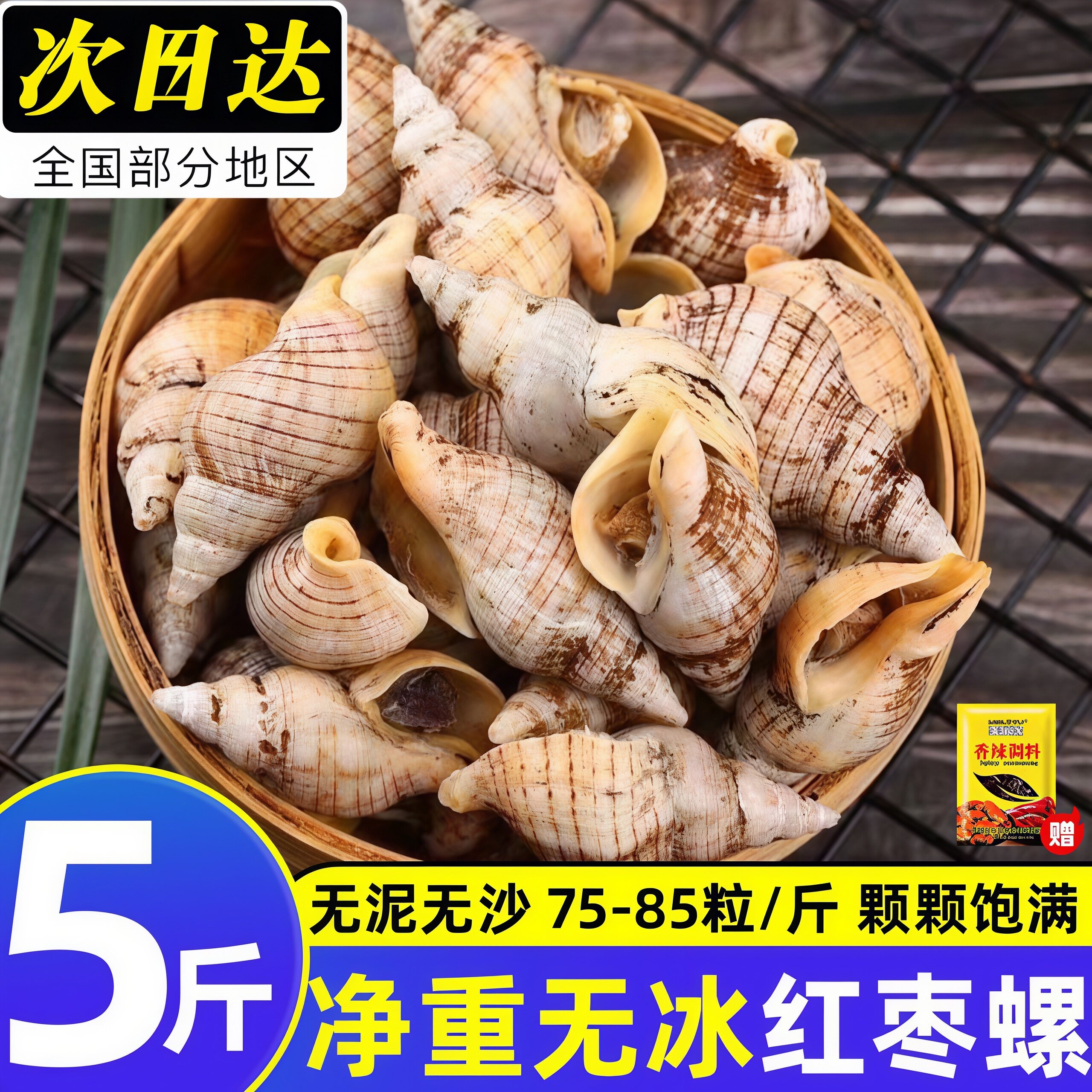 贝贝螺红枣螺白玉螺花螺小海螺丝海瓜子新鲜贝类酒店商用冷冻水产