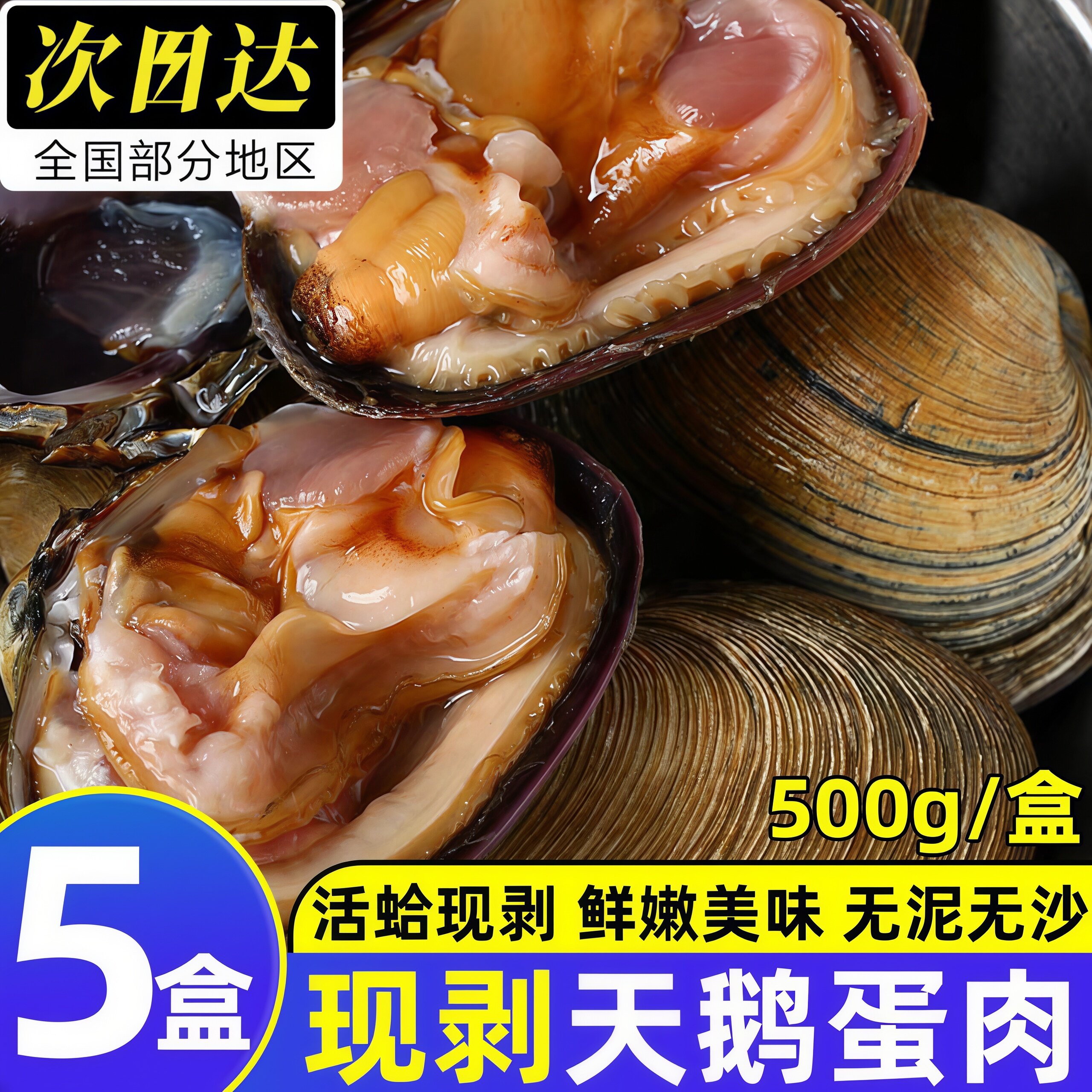 天鹅蛋肉纯肉无沙鲜活速冻海鲜