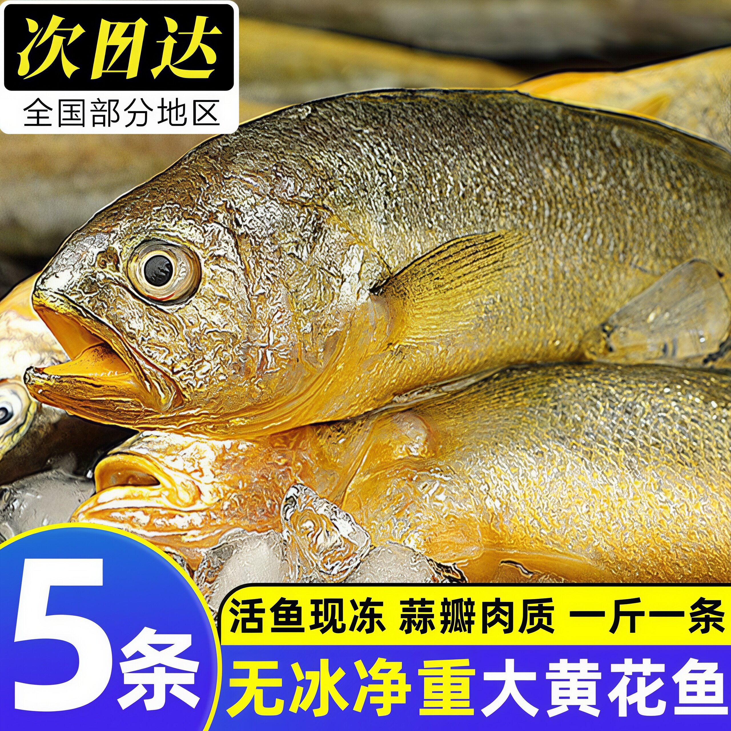 深海特大黄花鱼冷冻包邮