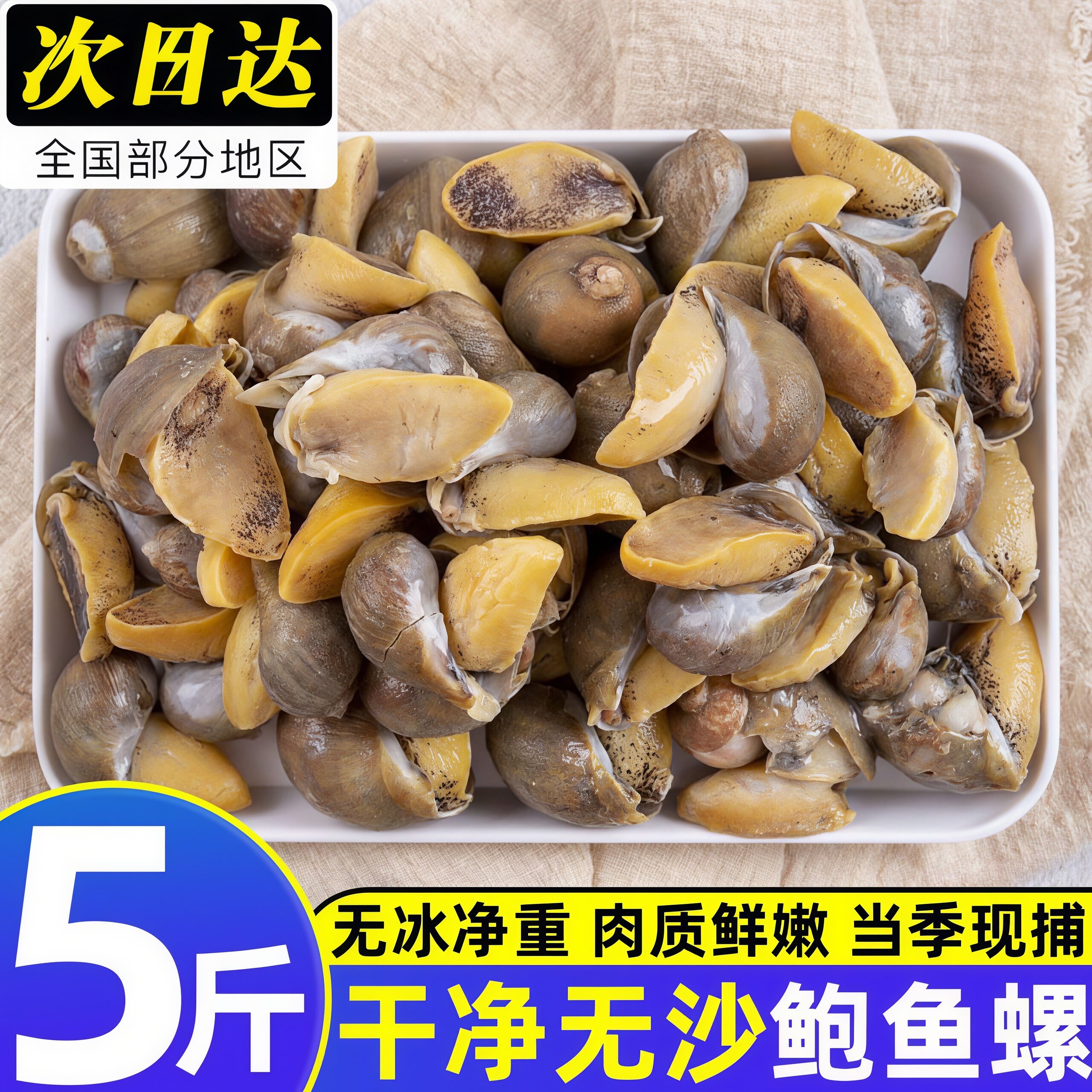 鲍鱼螺鲜活特大号老婆脚新鲜冷冻鲍螺老婆脚大号鲍鱼螺海鲜水产