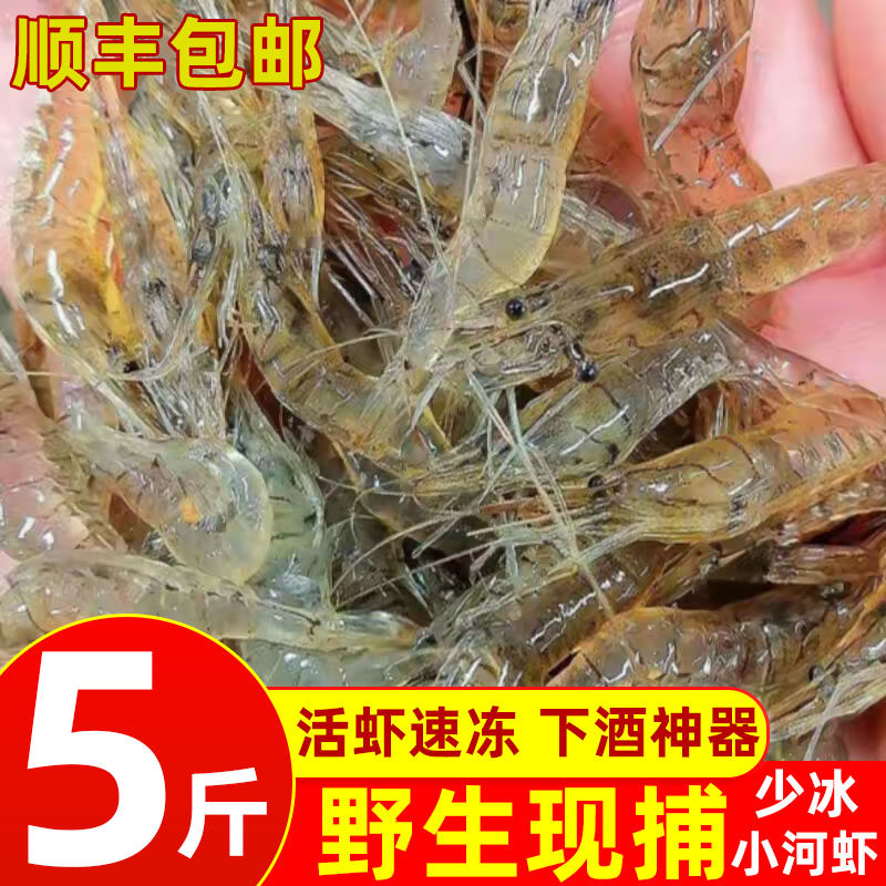 5斤装小河虾鲜活速冻当天现捕