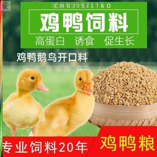 料中大鸡料小鸡饲料 钓鱼用养殖料开口芦丁鸡食粮家禽打全价专用