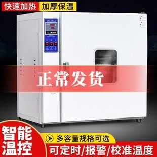 烘箱干燥箱工业实验室烘干箱小型家用烤箱电热鼓风恒温干燥箱机苏