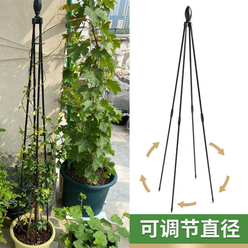 花架支撑杆月季铁线莲爬藤架花支架防倒植物攀爬三角架花杆支架杆