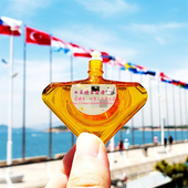 抗蓝光 现货 12ml 手机电脑族专用 缓解疲劳 日本直运本土乐LD