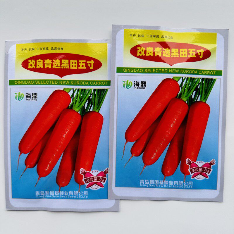 改良青选黑田五寸胡萝卜种子高产抗病三红率高优质春秋播胡萝卜籽