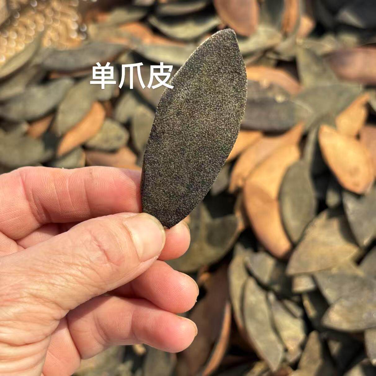 正宗化州10年化州橘红皮陈年胎果皮化橘红片金毛胎果皮正品桔红茶